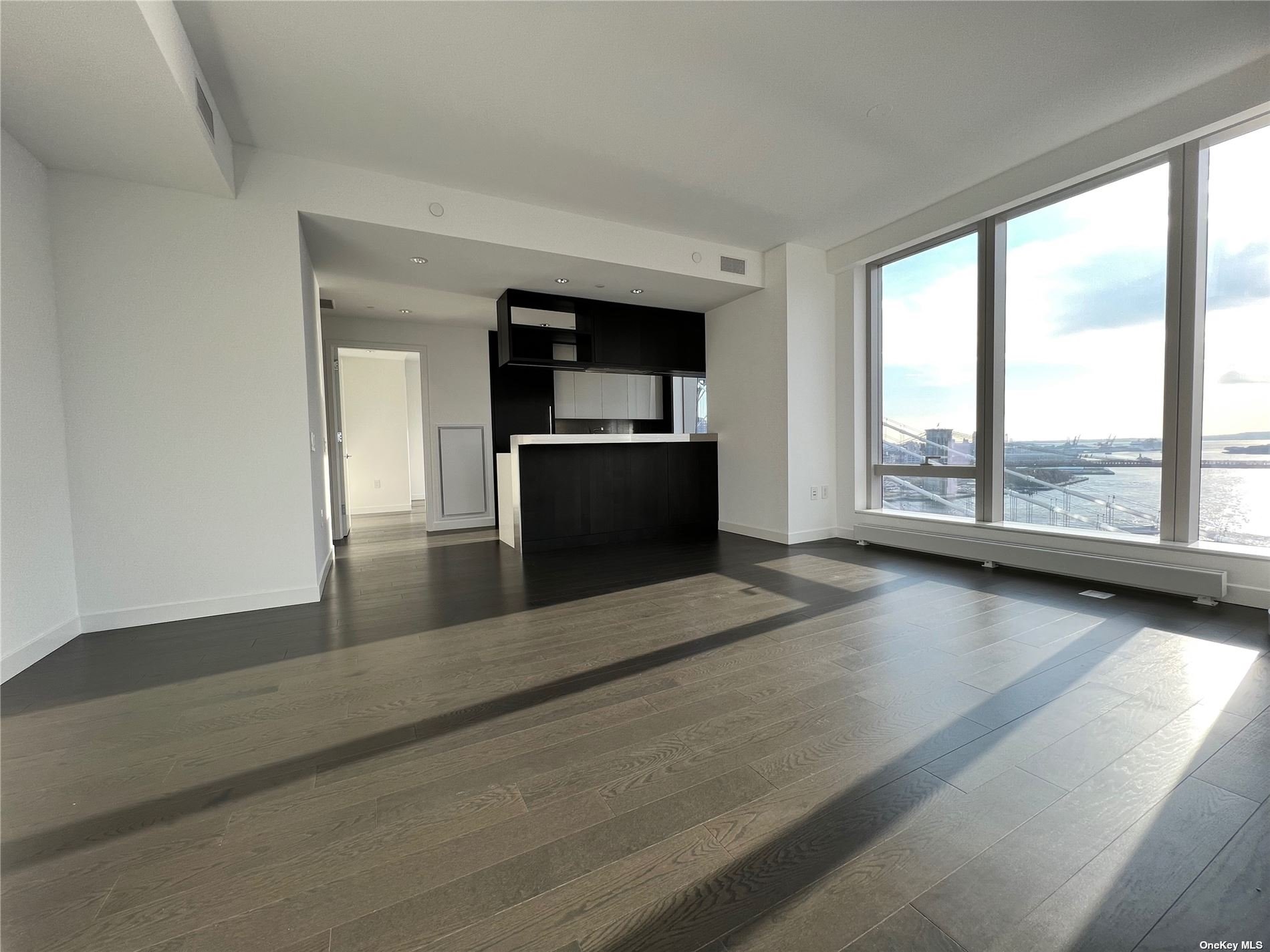Apartment South  Manhattan, NY 10002, MLS-3517807-4