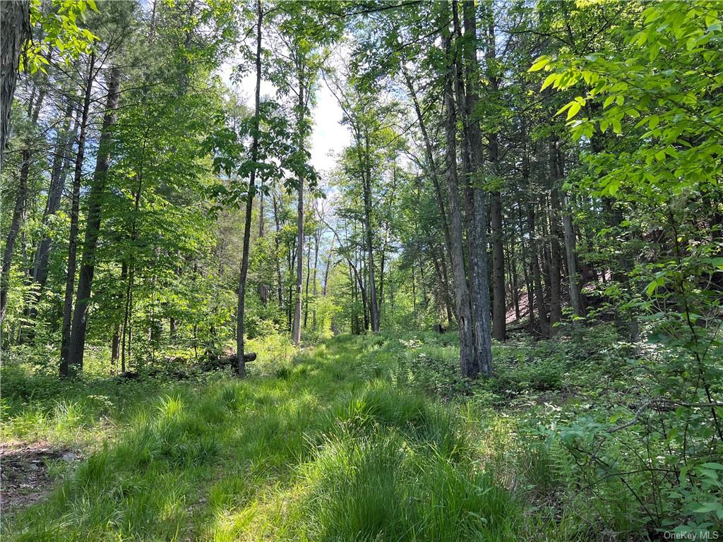 Land Gables  Sullivan, NY 12764, MLS-H6252813-4