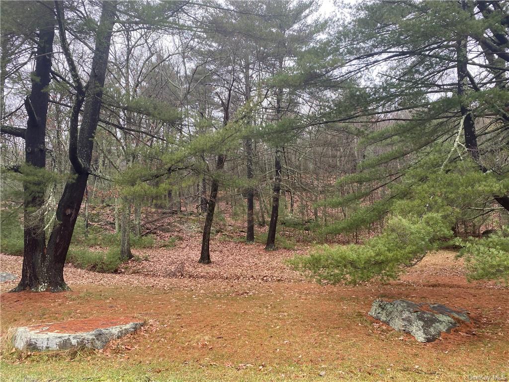 Land Diane  Ulster, NY 12428, MLS-H6223846-4