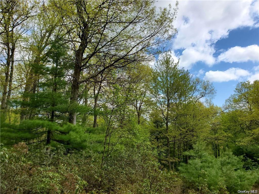 Land Mount Vernon  Sullivan, NY 12790, MLS-H6274851-4