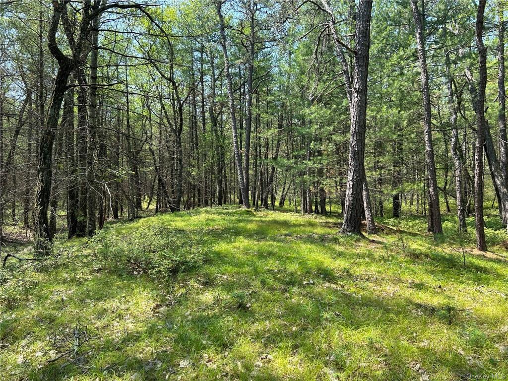 Land Clendening  Ulster, NY 12484, MLS-H6259859-4