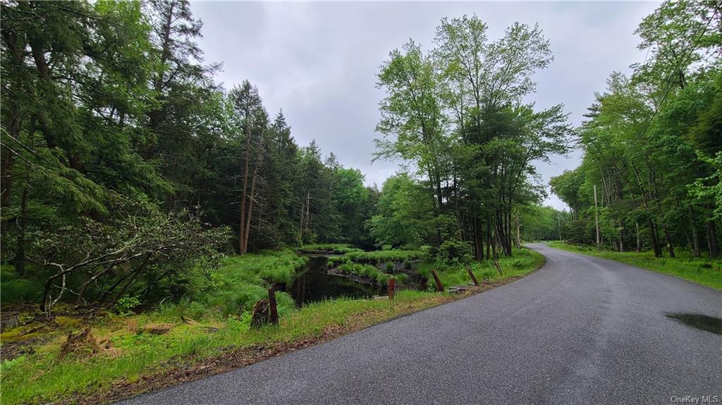 Land Dingle Daisy  Sullivan, NY 12701, MLS-H6204867-4