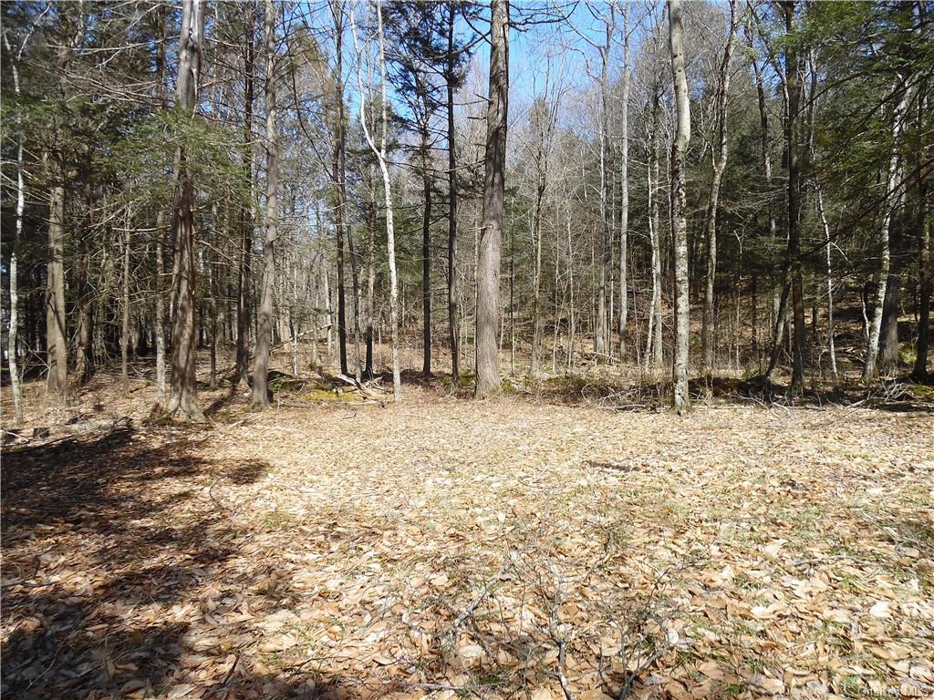 Land Gulf  Sullivan, NY 12724, MLS-H6238867-4