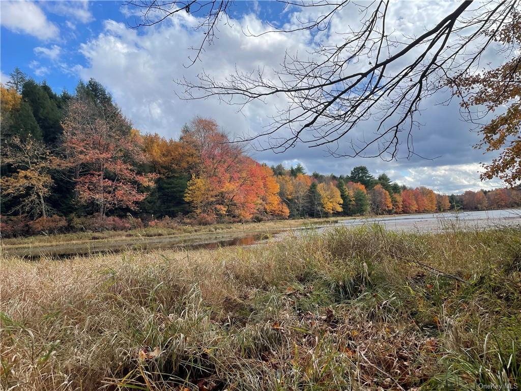 Land Cty Hwy 141 - Horseshoe Lake Rd Lots 10.7 & 10.9  Sullivan, NY 12720, MLS-H6240873-4