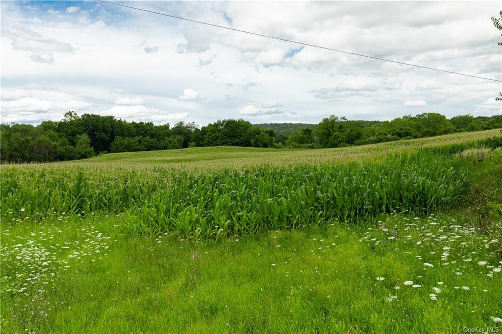 Land Yonderview  Columbia, NY 12529, MLS-H6201889-4