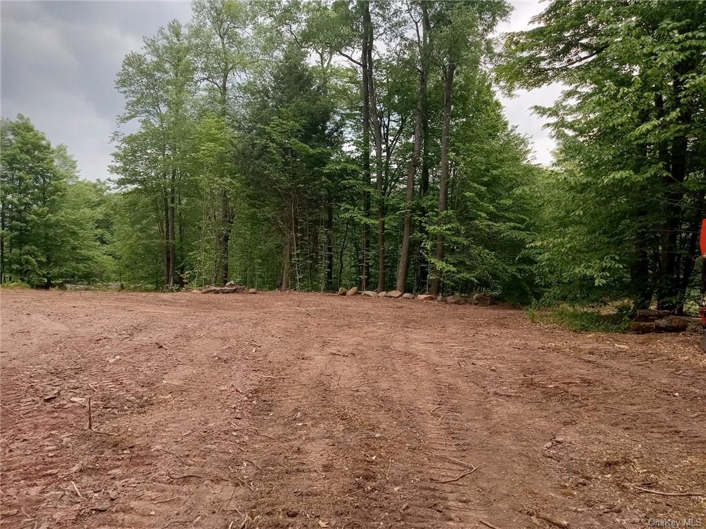 Land Black Bear  Sullivan, NY 12725, MLS-H6253912-4