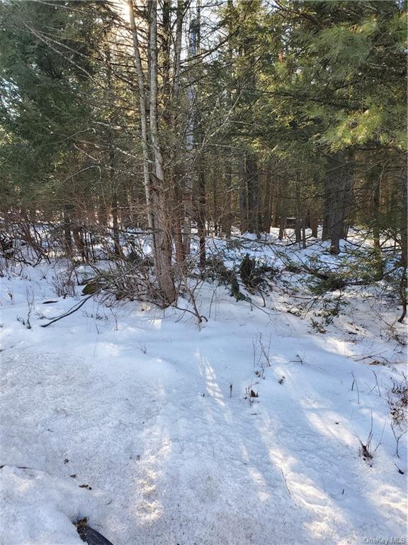 Land Red Star  Ulster, NY 12435, MLS-H6236940-4