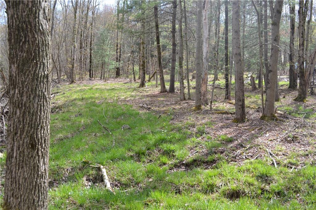 Land Garden House  Sullivan, NY 12747, MLS-H6230959-4