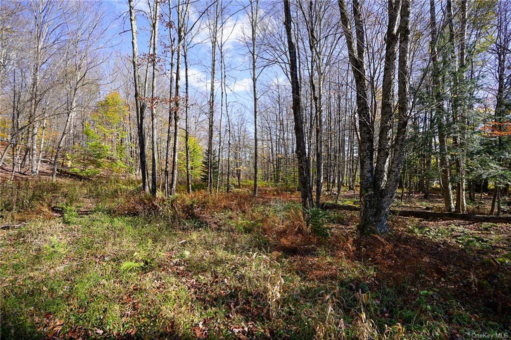 Land Amber Lake  Sullivan, NY 12758, MLS-H6150969-4