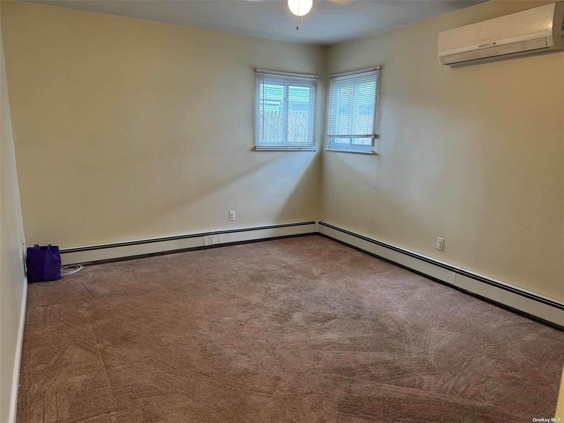 Apartment Maple  Nassau, NY 11561, MLS-3503972-4