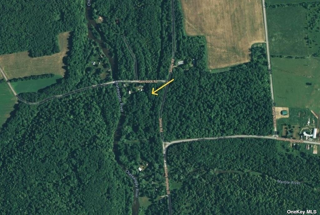 Land Sam Cook  Out Of Area, NY , MLS-3459977-4