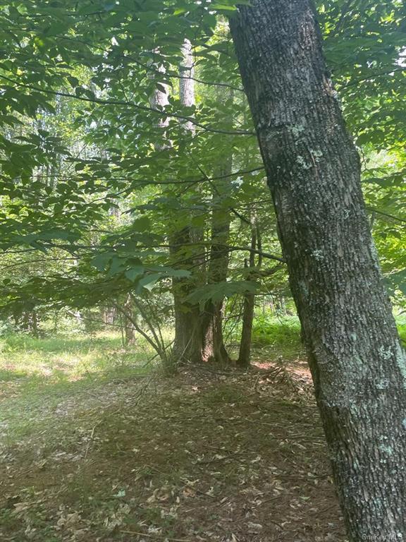 Land Davos  Sullivan, NY 12789, MLS-H6259981-4