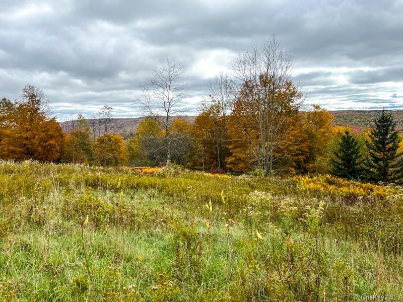 Land Debruce  Sullivan, NY 12758, MLS-H6214984-4