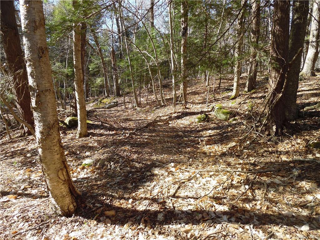 Land Revonah Hill  Sullivan, NY 12754, MLS-H6227985-4