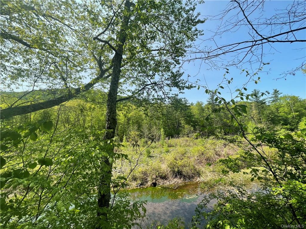 Land Creek Side  Ulster, NY 12480, MLS-H6228986-4