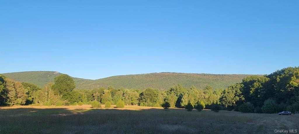 Land Meyerson  Sullivan, NY 12790, MLS-H6207993-4