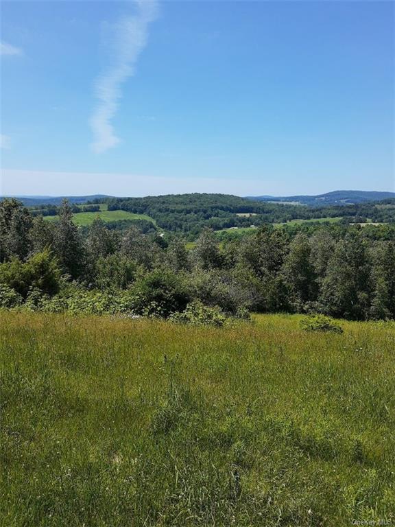 Land Beechwoods  Sullivan, NY 12723, MLS-H6264013-5