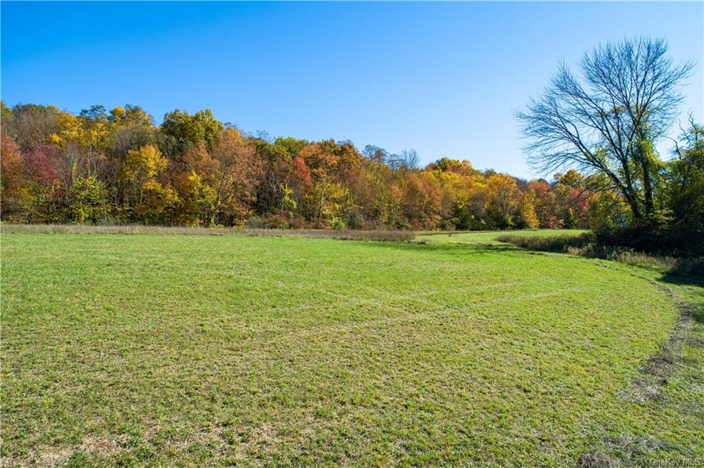 Land Traver  Dutchess, NY 12569, MLS-H6272015-5