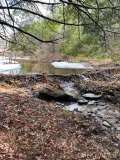 Land Bear Run  Sullivan, NY 12764, MLS-H6168030-5