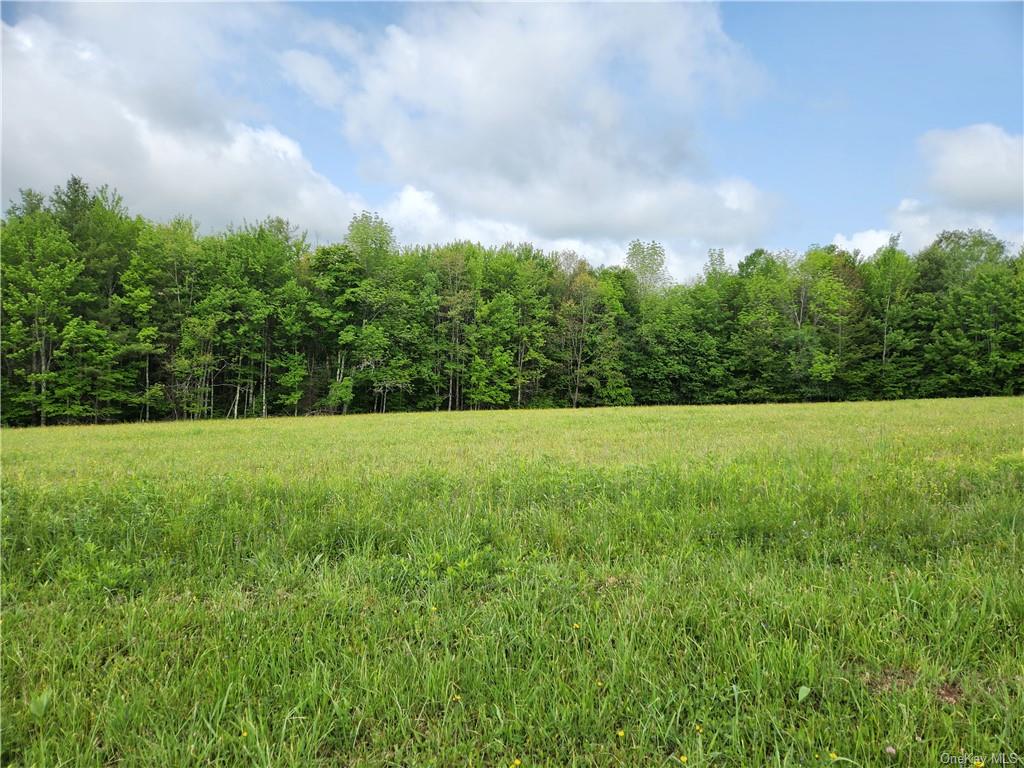 Land State Hwy 10  Delaware, NY 13786, MLS-H6254062-5