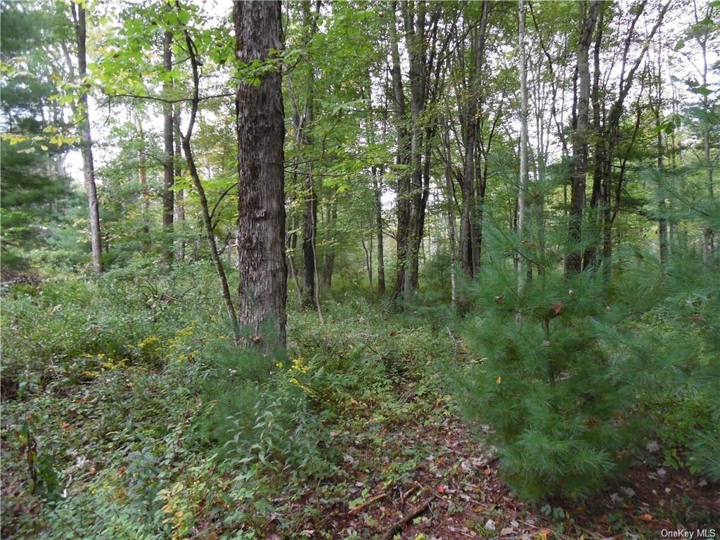 Land Plank  Sullivan, NY 12720, MLS-H6237065-5