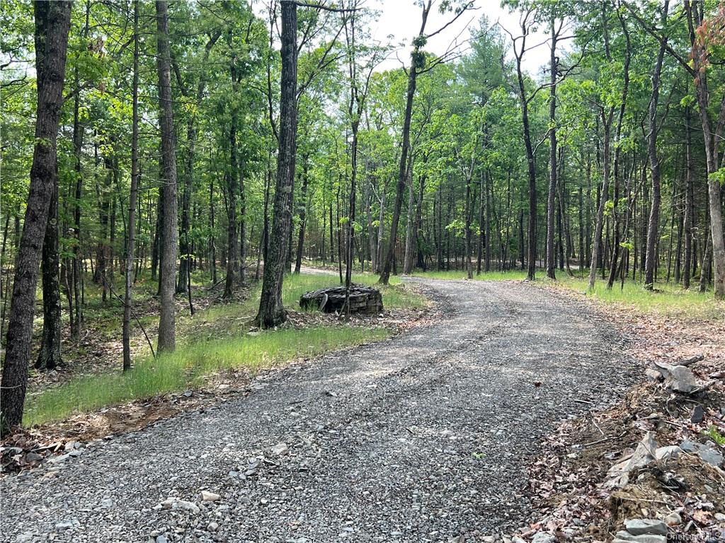 Land Reilly  Ulster, NY 12401, MLS-H6252070-5