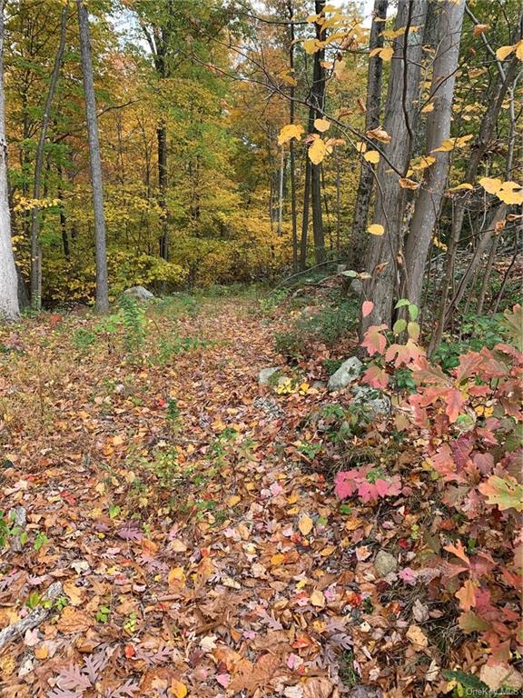 Land South  Dutchess, NY 12531, MLS-H6217102-5