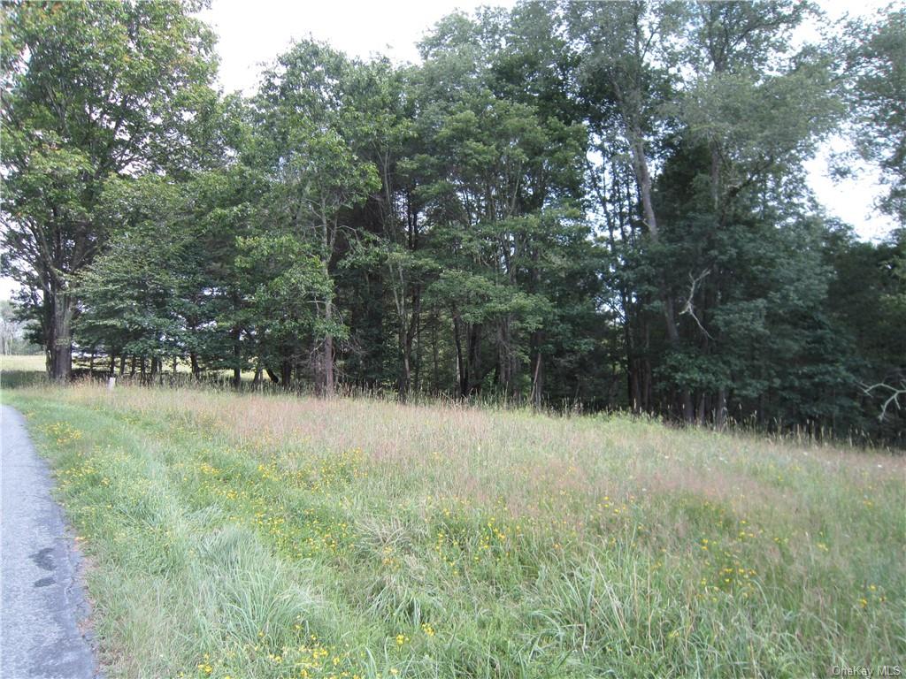 Land St. Rt,  52 & Old Country  Sullivan, NY 12726, MLS-H6262117-5