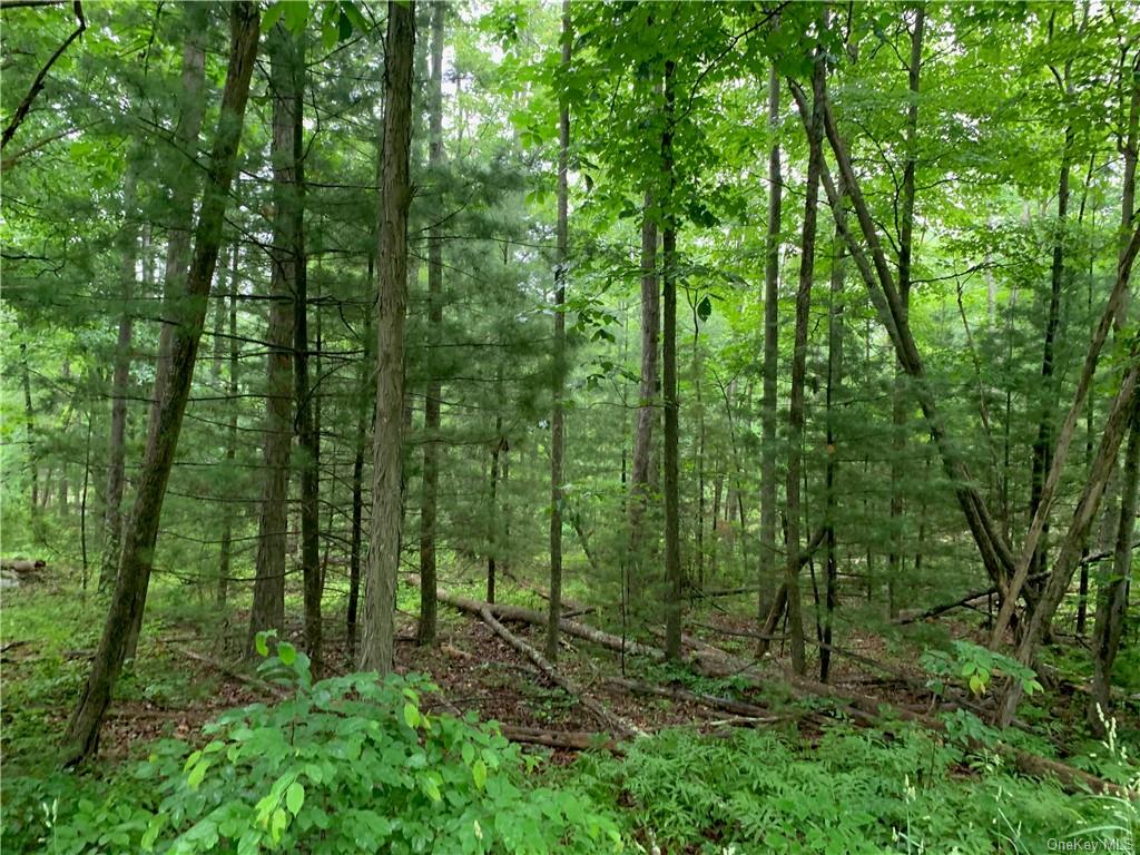 Land Piney Point  Ulster, NY 12461, MLS-H6260123-5