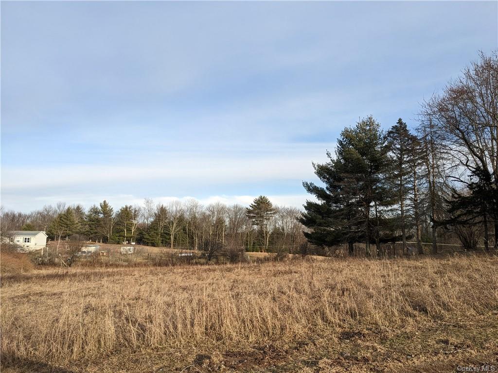 Land Little Beach Lake  Out Of Area, NY 18405, MLS-H6236126-5