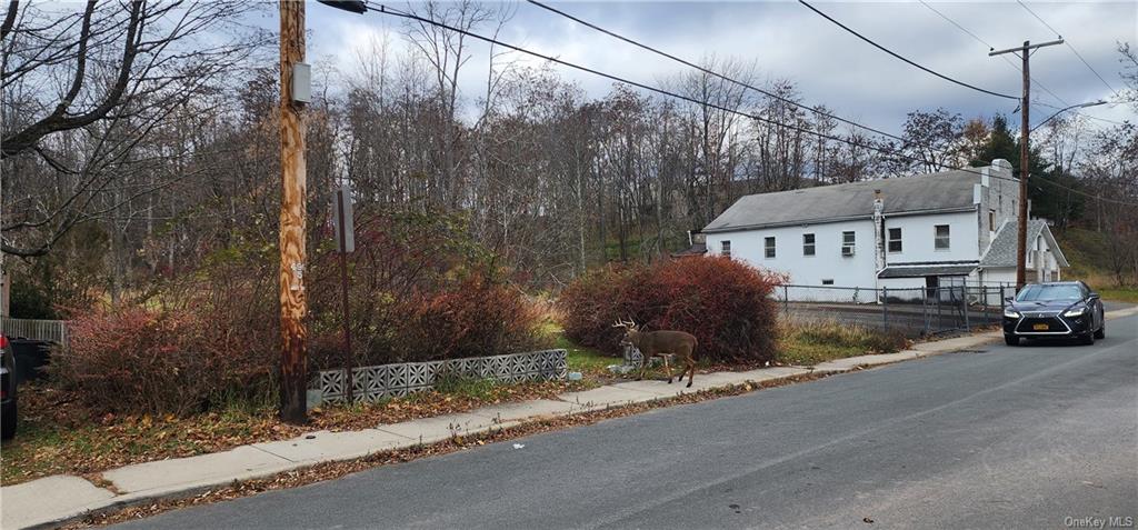 Land Spring  Sullivan, NY 12701, MLS-H6278127-5