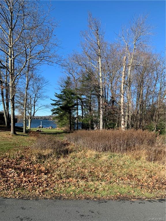 Land Lake Shore  Sullivan, NY 12775, MLS-H6222134-5