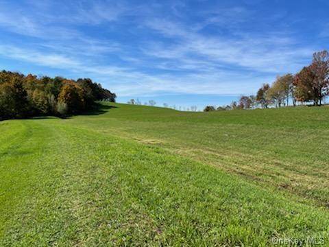 Land 01 Bauernfeind  Sullivan, NY 12723, MLS-H6213146-5