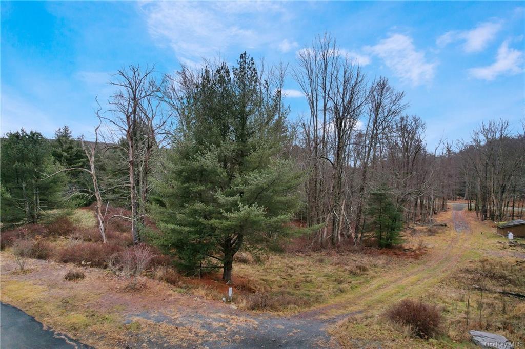 Land Lena  Sullivan, NY 12777, MLS-H6280157-5