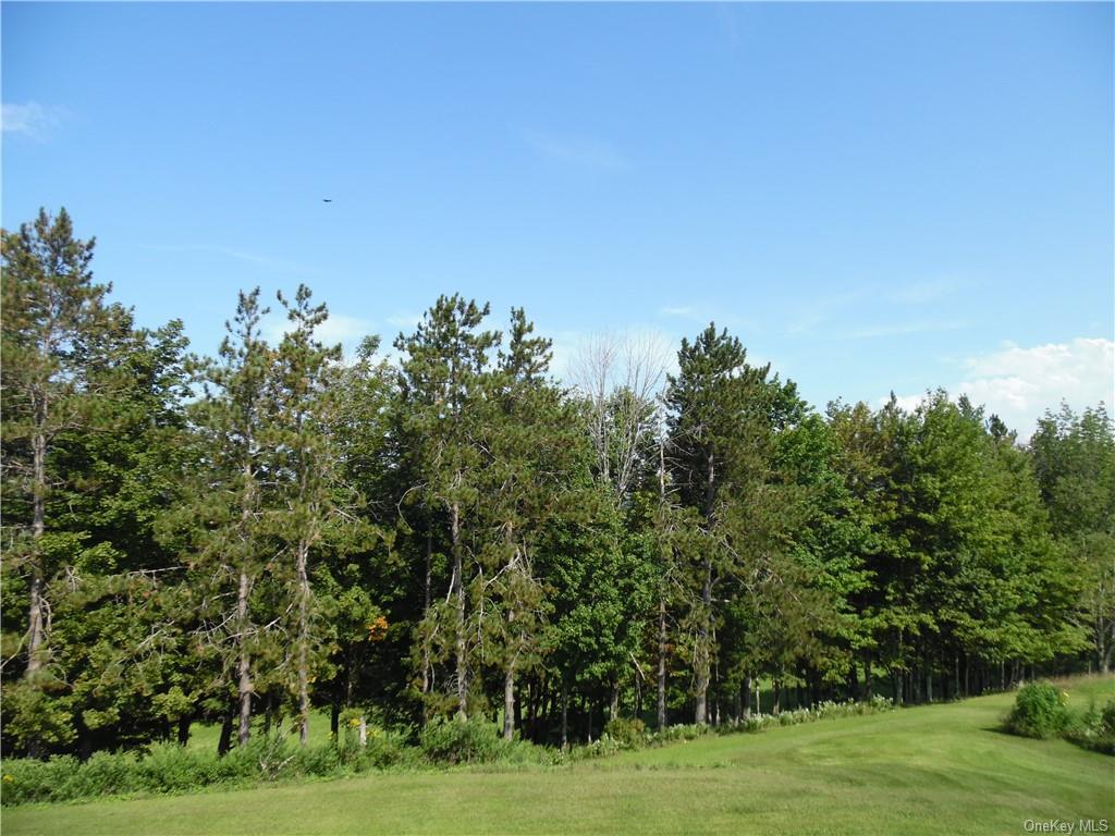 Single Family Rock View  Sullivan, NY 12759, MLS-H6267183-5