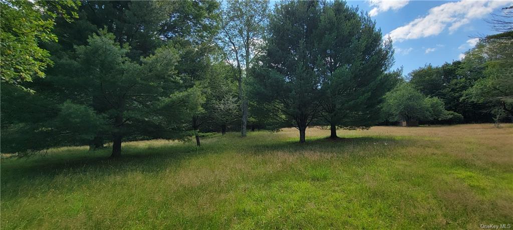 Land Westervelt  Sullivan, NY 12726, MLS-H6264186-5