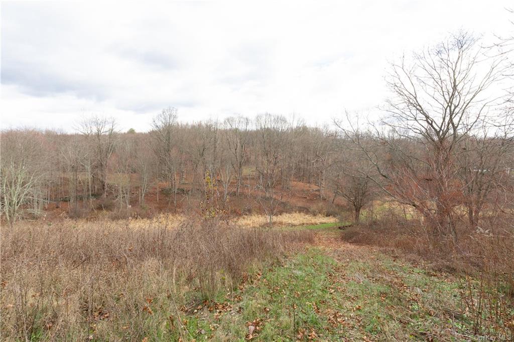 Land Cream  Dutchess, NY 12601, MLS-H6256190-5