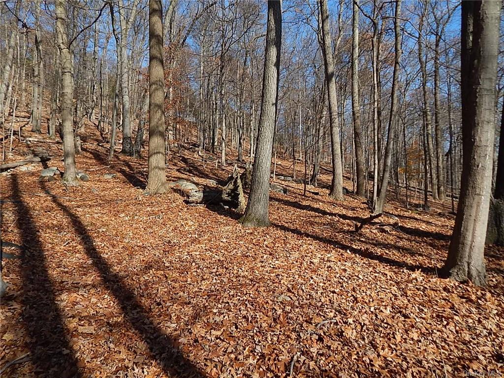 Land Mountain  Rockland, NY 10956, MLS-H6279191-5