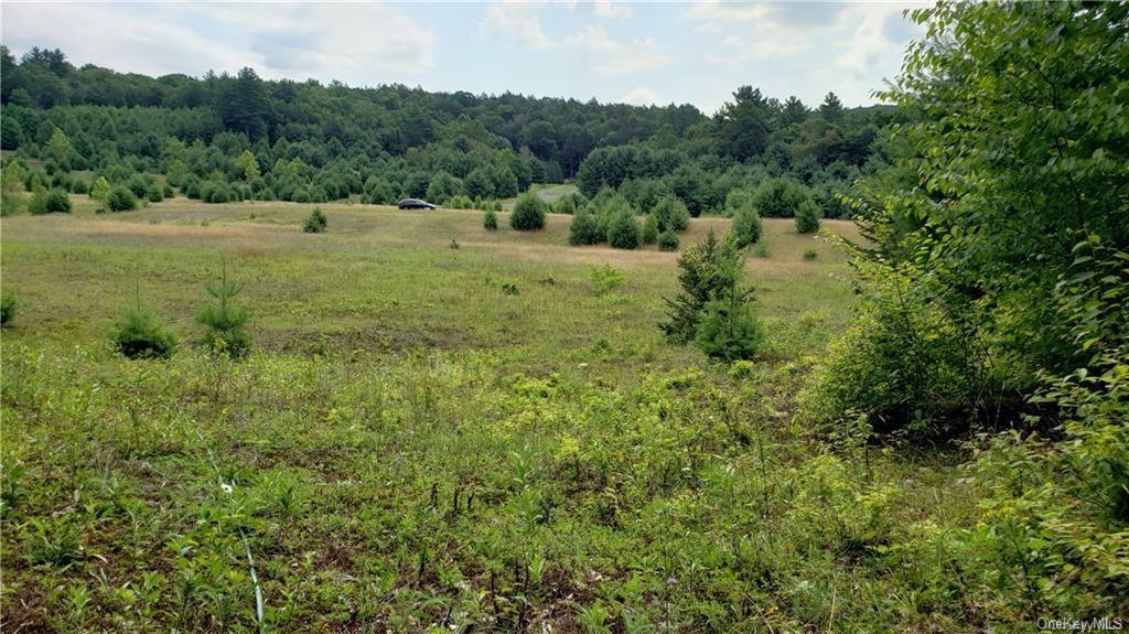 Land Marsh Road Tr 83  Sullivan, NY 12733, MLS-H6270193-5