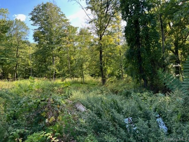 Land Deerwood  Dutchess, NY 12533, MLS-H6212196-5