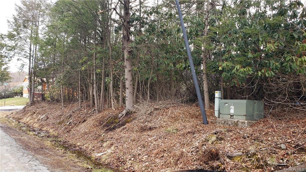 Land Lakeside  Sullivan, NY 12759, MLS-H6234206-5