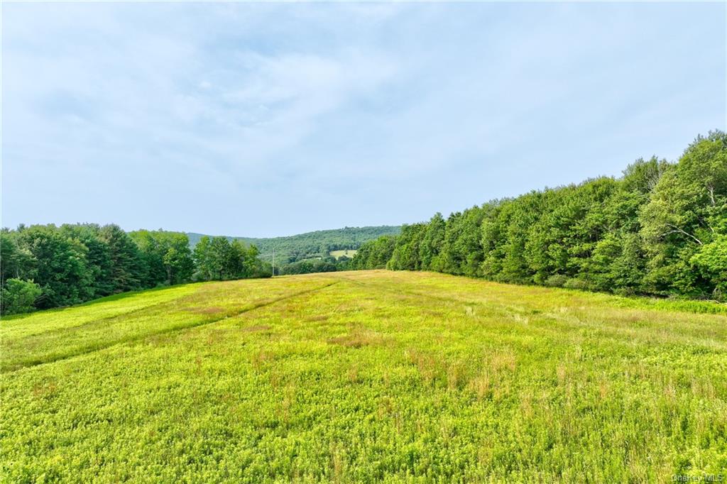 Land Rolling Meadows  Sullivan, NY 12787, MLS-H6261215-5