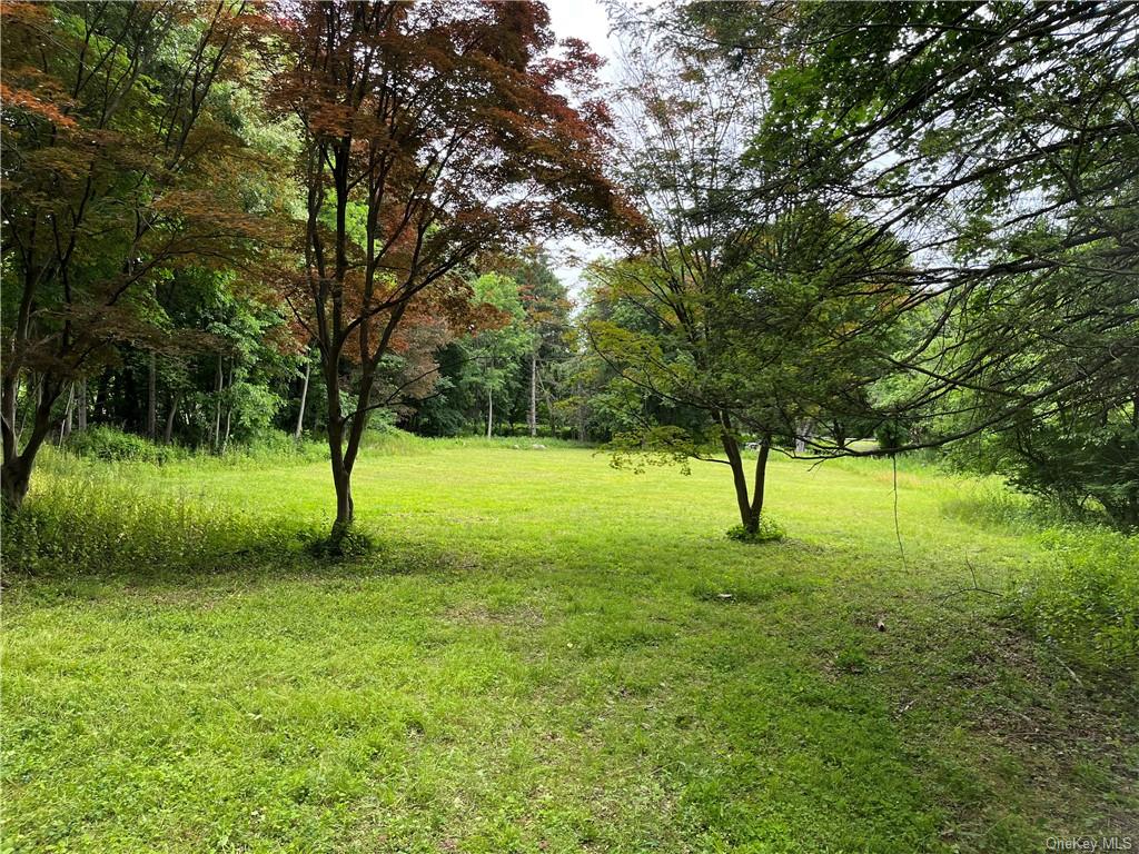 Land Route 55  Dutchess, NY 12603, MLS-H6281215-5