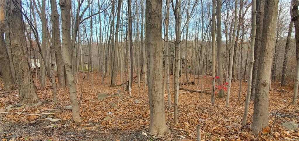 Land Huckleberry  Ulster, NY 12589, MLS-H6158218-5