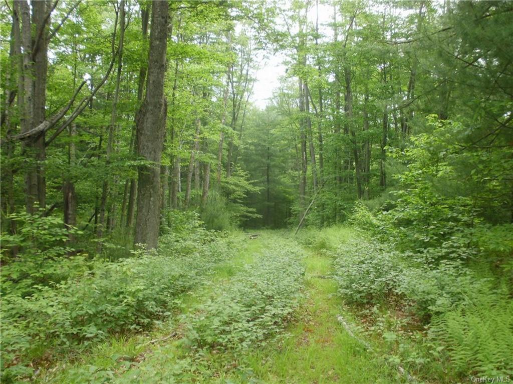 Land Lot 13 Woodstone  Sullivan, NY 12720, MLS-H6188237-5