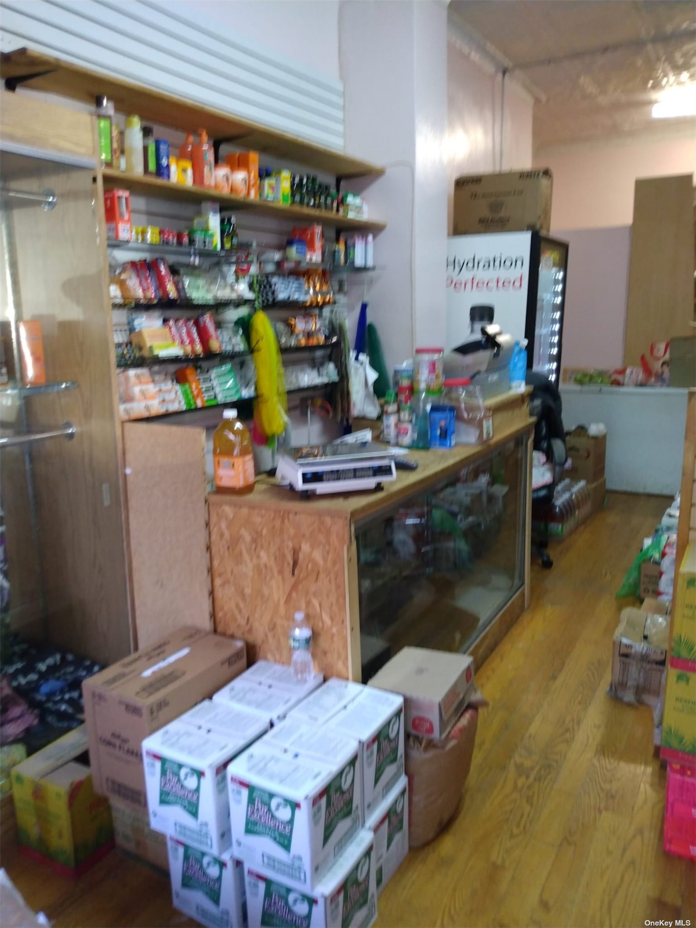 Business Opportunity Clarkson  Brooklyn, NY 11212, MLS-3517245-5