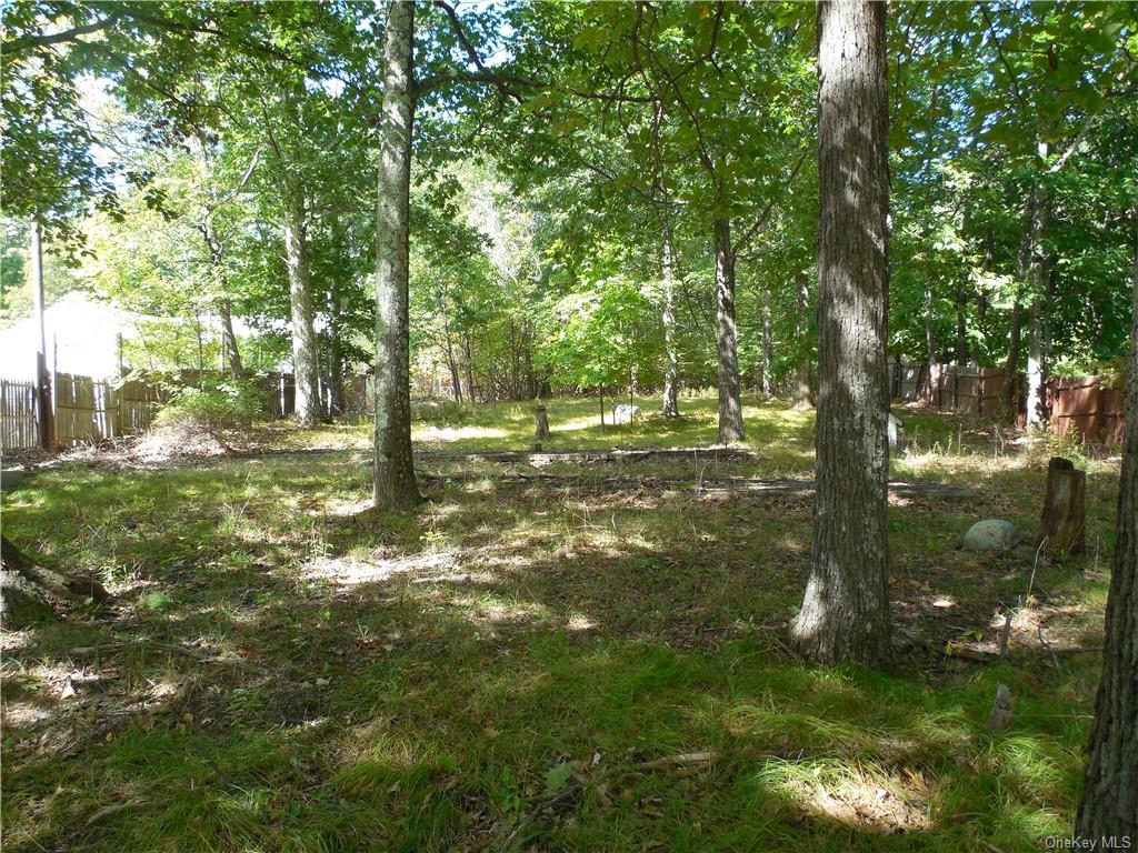 Land Shawanga Lodge  Sullivan, NY 12721, MLS-H6215260-5