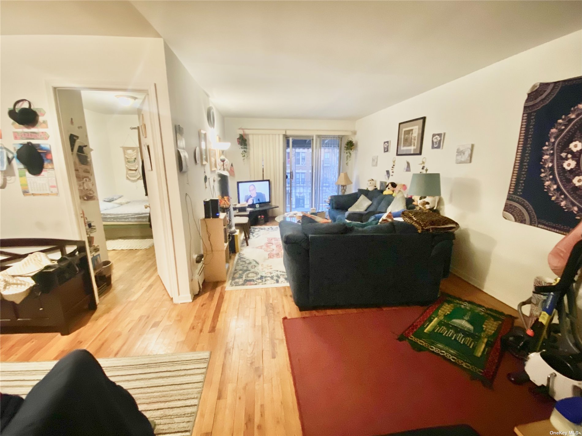 Two Family 28th Avenue  Queens, NY 11103, MLS-3480288-5