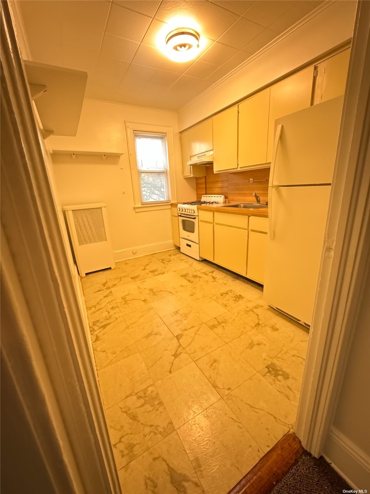 Apartment Mayda Rd  Queens, NY 11422, MLS-3516300-5