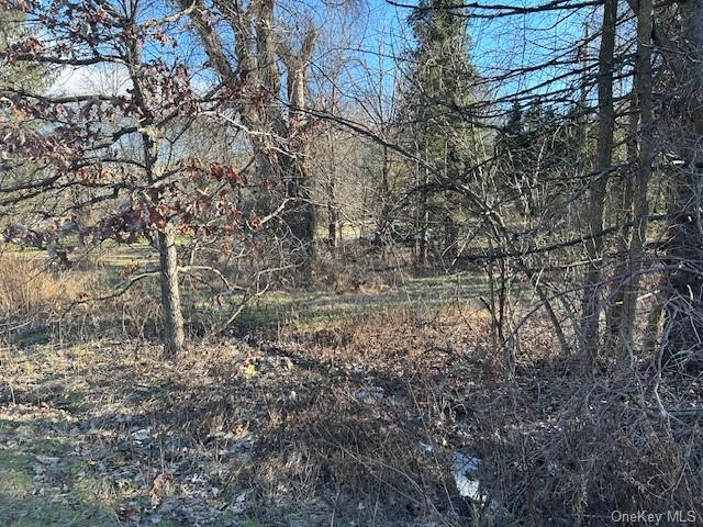 Land Route 209  Ulster, NY 12404, MLS-H6151324-5